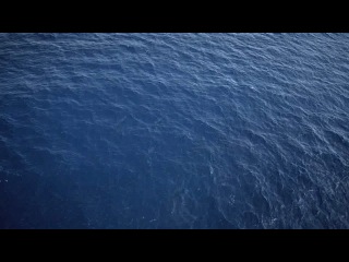 monsters of the seas 3d (2007) bdrip (belki-tv ru)